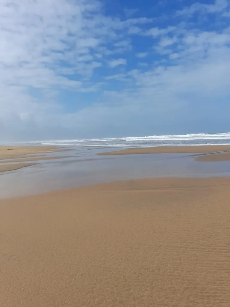 WhatsApp Image 2022-06-11 at 9.42.26 PM