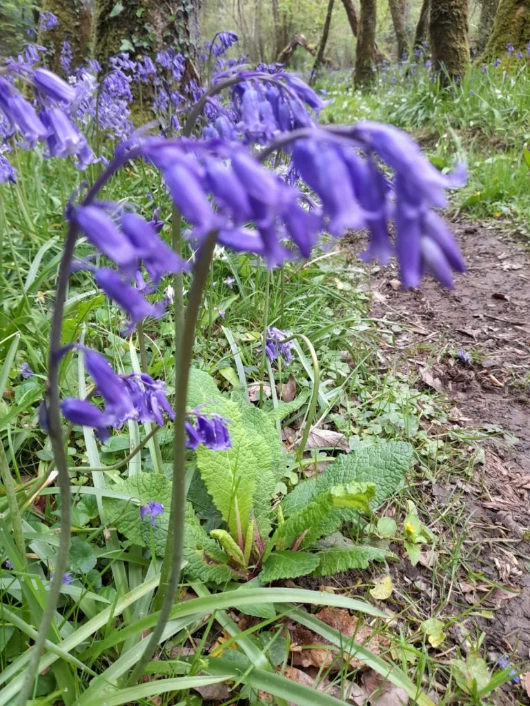 WhatsApp Image 2022-06-11 at 9.44.33 PM (1)