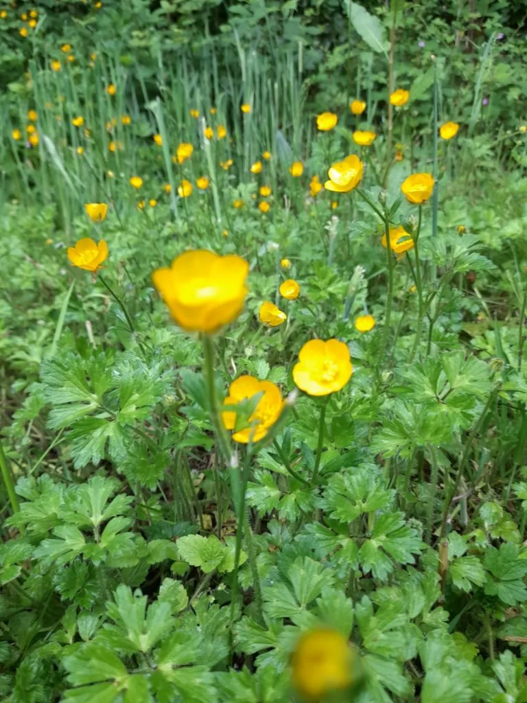 WhatsApp Image 2022-06-11 at 9.42.46 PM