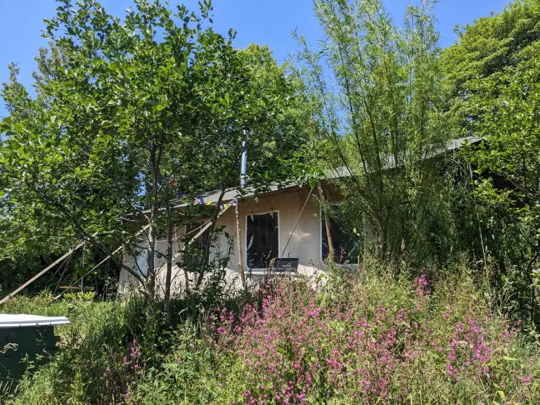 93e7d09b-cd3d-4f63-80f6-68ebb833a8e5