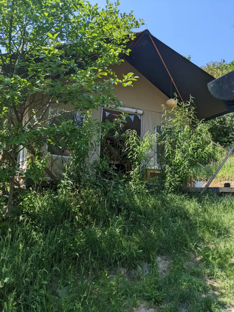 db3098c6-6b27-48a5-86d2-aaa0bcc5b17d